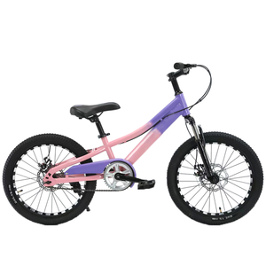 Custom Made Kids Bicycle 20 Inch Mountain Bike Mtb for Kids 12 To 20 Inches