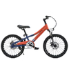 Custom Made Kids Bicycle 20 Inch Mountain Bike Mtb for Kids 12 To 20 Inches